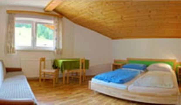 Hostel Jugendgastehaus Steiner Eben Im Pongau Exterior foto